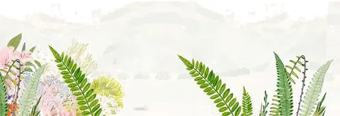 业余篮球爱好者在哪里可以找到表演赛资源_0