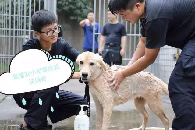 篮球训练运动技术分析论文_0